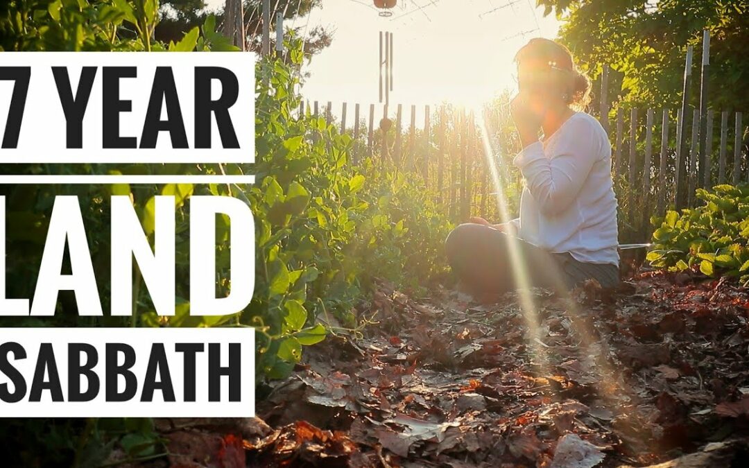 The LAND SABBATH — A Commandment For Today?