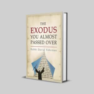 The Exodus You Almost Passed Over