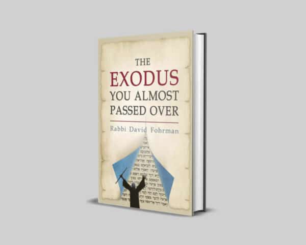 The Exodus You Almost Passed Over