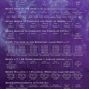 Yehovah's - Cycles of Seven - Purple