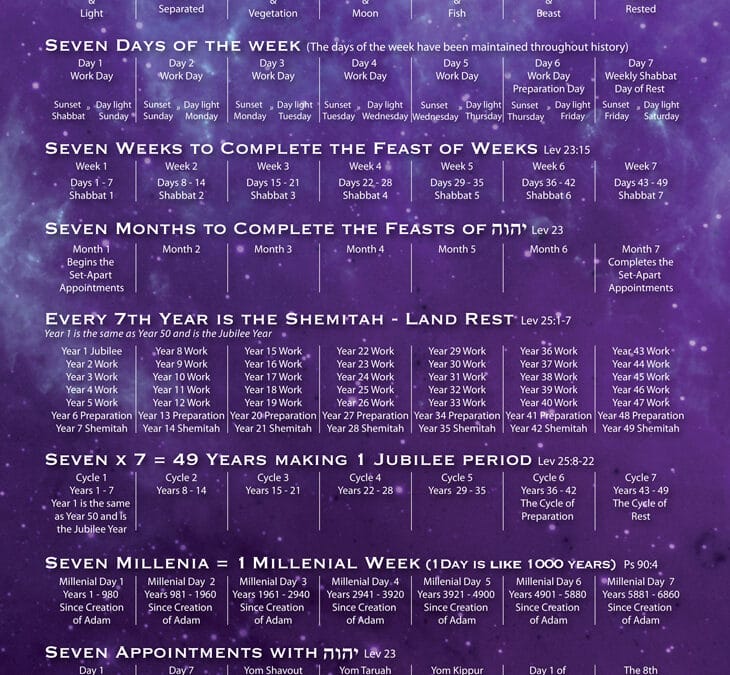 Cycles of Seven & Cycles of Eight