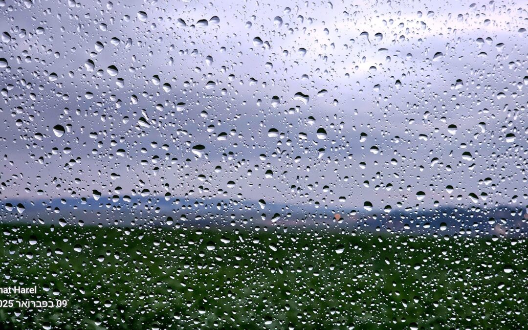 The Yoreh Rains Arrive in Israel-September 25, 2025