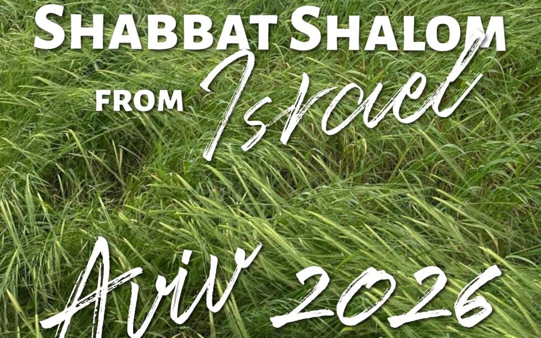 2026 Barley Report-THE MONTH OF AVIV IS HERE!!!